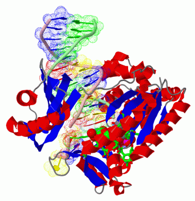 Image Asym./Biol. Unit - manually