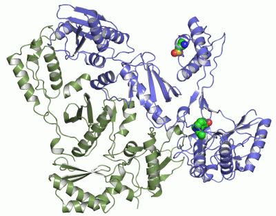 Image Asym./Biol. Unit - manually