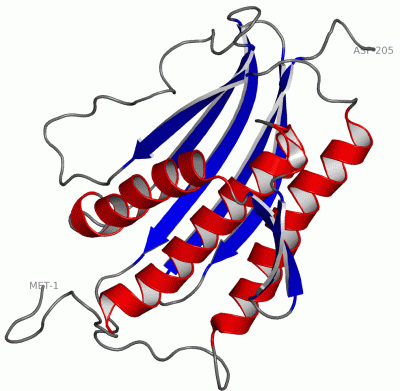 Image NMR Structure - manually