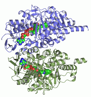 Image Asym./Biol. Unit - manually