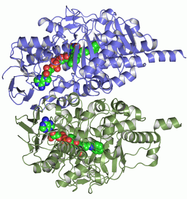 Image Asym./Biol. Unit - manually