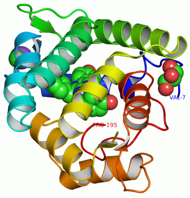 Image Asym./Biol. Unit - manually