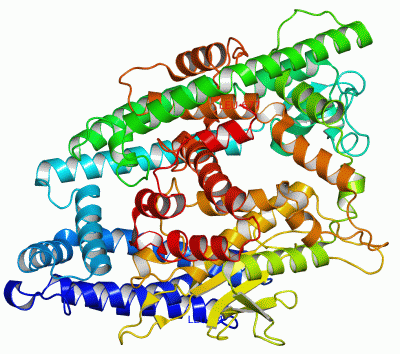 Image Asym./Biol. Unit - manually