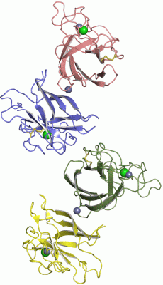 Image Asym.Unit - manually