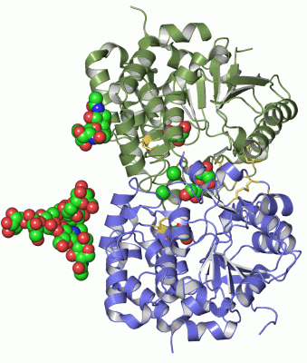 Image Asym./Biol. Unit - manually