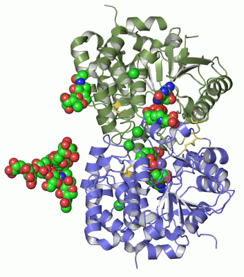 Image Asym./Biol. Unit - manually