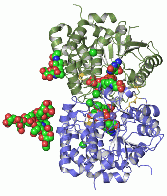 Image Asym./Biol. Unit - manually