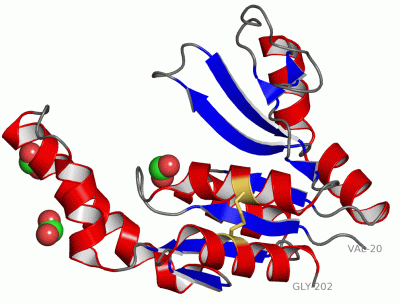 Image Asym./Biol. Unit - manually