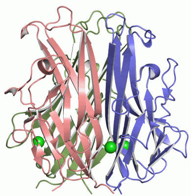 Image Asym./Biol. Unit - manually