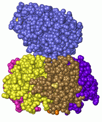 Image Asym./Biol. Unit - manually