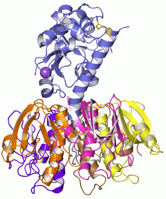Image Asym./Biol. Unit - manually