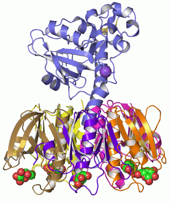 Image Asym.Unit - manually