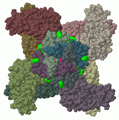 Image Biol.Unit 1 - manually