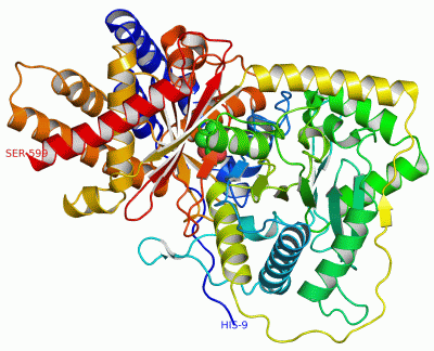 Image Asym./Biol. Unit - manually