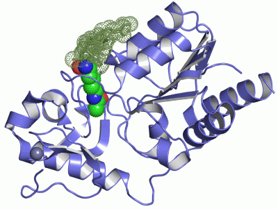 Image Asym./Biol. Unit - manually