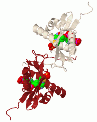 Image Biol.Unit 1 - manually