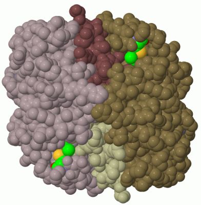 Image Biol.Unit 1 - manually