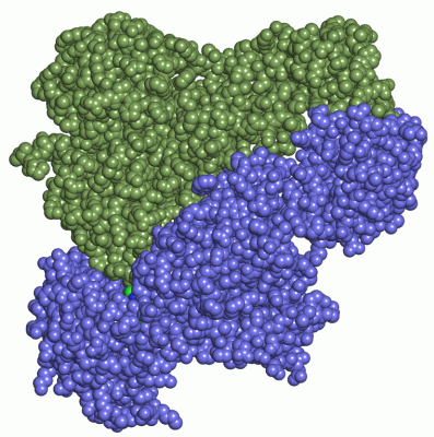 Image Asym./Biol. Unit - manually