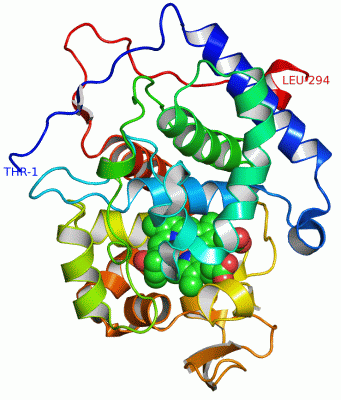 Image Asym./Biol. Unit - manually