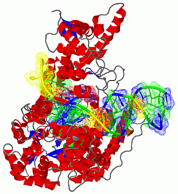 Image Asym./Biol. Unit - manually