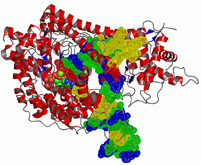 Image Asym./Biol. Unit - manually