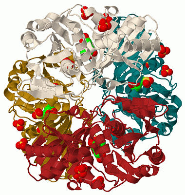 Image Biol.Unit 1 - manually