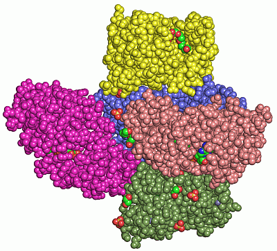 Image Asym./Biol. Unit - manually