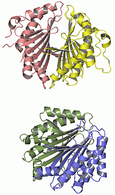 Image Asym.Unit - manually