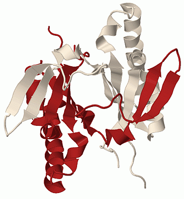 Image Biol.Unit 1 - manually