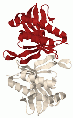 Image Biol.Unit 1 - manually