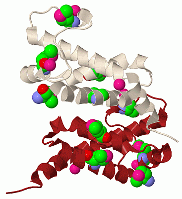 Image Biol.Unit 1 - manually