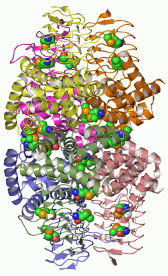 Image Asym./Biol. Unit - manually