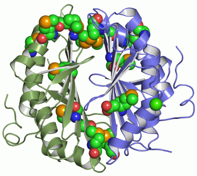 Image Asym./Biol. Unit - manually