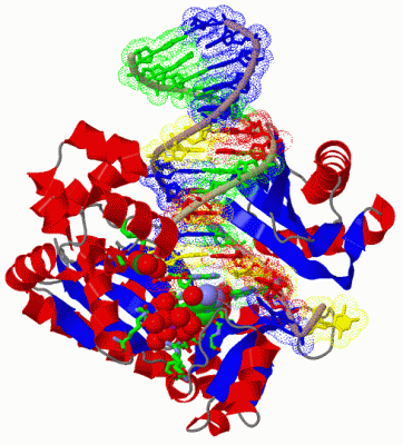 Image Biol.Unit 1 - manually