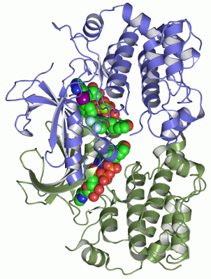Image Asym./Biol. Unit - manually