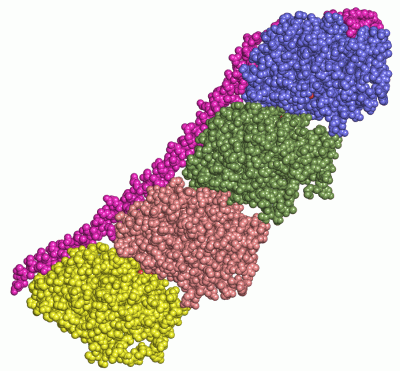 Image Asym./Biol. Unit - manually