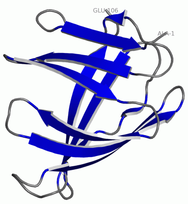 Image NMR Structure - manually