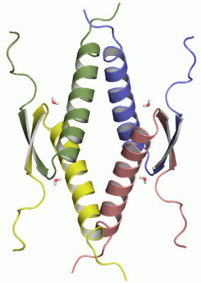 Image NMR Structure - manually