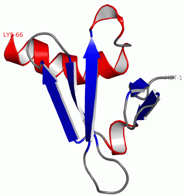 Image NMR Structure - manually