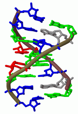 Image Biol.Unit 1 - manually