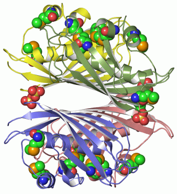 Image Asym./Biol. Unit - manually