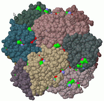 Image Biol.Unit 1 - manually