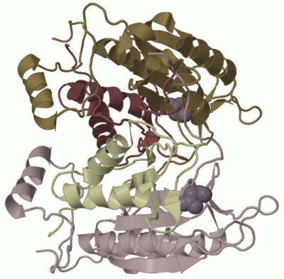 Image Biol.Unit 1 - manually