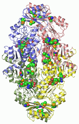 Image Asym./Biol. Unit - manually