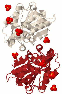 Image Biol.Unit 1 - manually