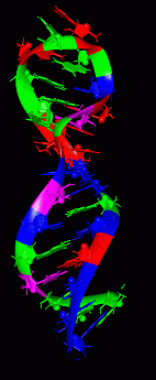 Image NMR Structure - manually