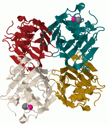 Image Biol.Unit 1 - manually