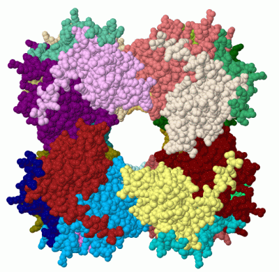 Image Biol.Unit 1 - manually