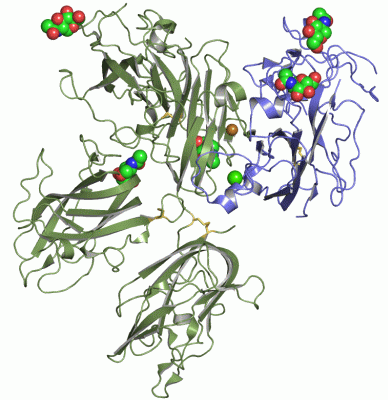 Image Asym./Biol. Unit - manually