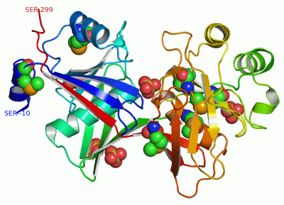 Image Asym./Biol. Unit - manually